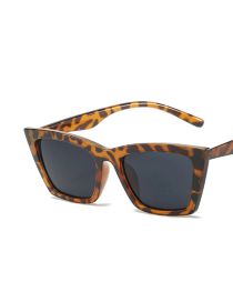 Fashion Leopard Print All Grey Pc Resin Cat Eye Large Frame Sunglasses